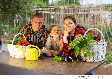 Couple of gardeners with child posing with harvest of vegetables Couple of gardeners with child posing with harvest of vegetables 78474882