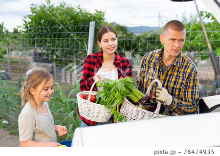 Family packing harvested vegetables in car trunk Family packing harvested vegetables in car trunk 78474935