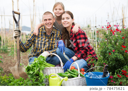 Happy family with harvest vegetable in garden 78475621