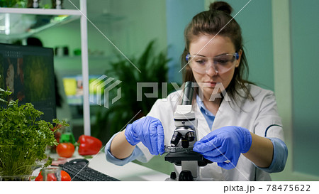 Biologist taking green leaf sample putting under microscope 78475622