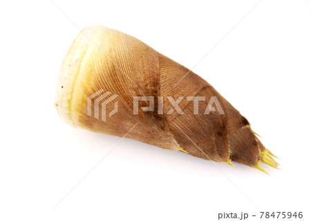 タケノコ タケノコ 78475946