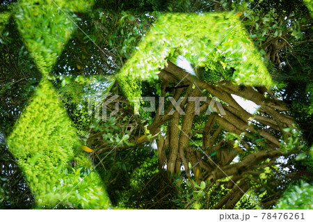 万華鏡で公園の樹木を見る 78476261