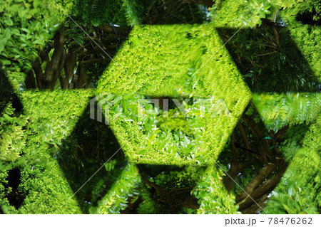 万華鏡で公園の新緑を見る 78476262