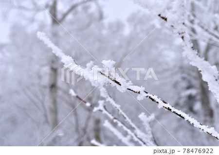 裏磐梯　雪 78476922