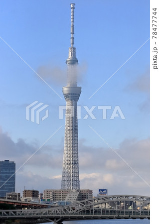 スカイツリーと白髭橋 スカイツリーと白髭橋 78477744
