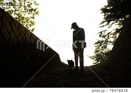 夕日の中を愛犬と一緒に散歩をする飼い主の女性 夕日の中を愛犬と一緒に散歩をする飼い主の女性 78478828