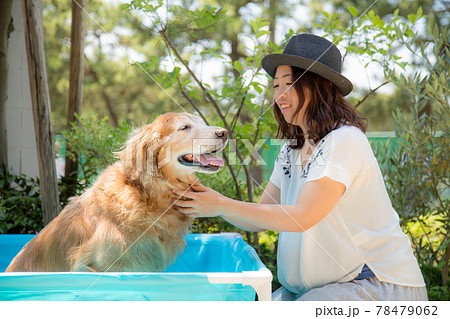 小さなプールで遊ぶゴールデンレトリーバーと飼い主の女性の写真素材