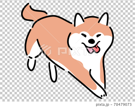 こちらへ走ってくる柴犬のイラスト素材