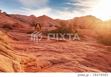 Hike in Utah 78479565