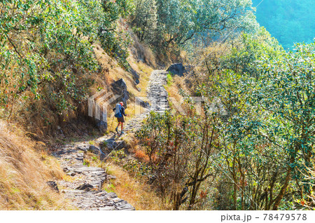 Hike in Nepal jungle 78479578