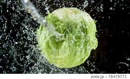 Falling fresh harvested lettuce, water splash during impact Falling fresh harvested lettuce, water splash during impact 78479771