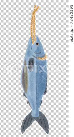 ふんわりかわいい魚のイラスト 荒巻鮭のイラスト素材