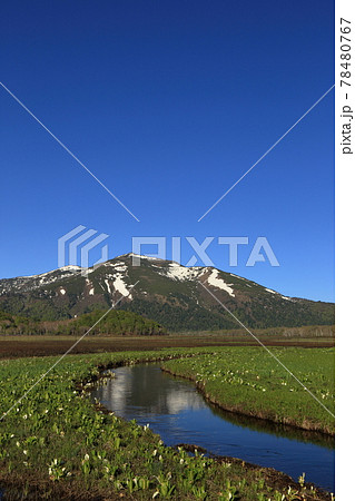 尾瀬の下ノ大堀からの至仏山と水芭蕉 ( 2021/05/31 ) 78480767