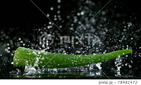Falling Aloe Vera leaves, freeze motion, isolated on black background. 78482472