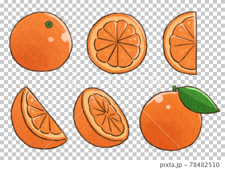 水彩果物 オレンジイラストセットのイラスト素材