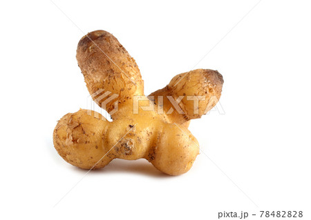Funny ugly potato 78482828