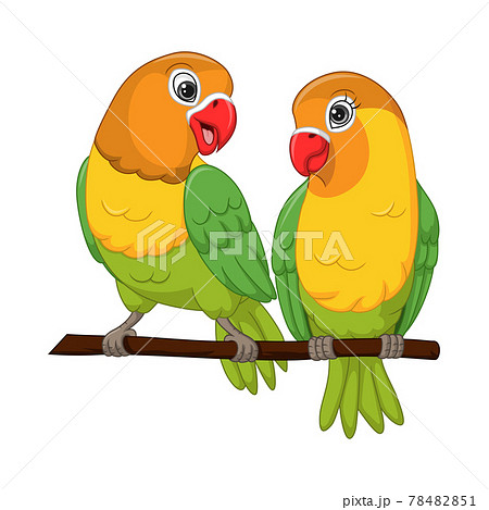 cartoon love birds in a tree