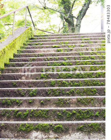 神社への長い階段 神社への長い階段 78483303