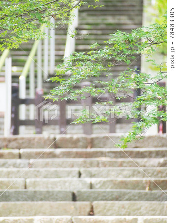神社への長い階段 神社への長い階段 78483305