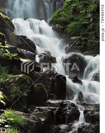 新潟県阿賀町大尾不動滝 78486458