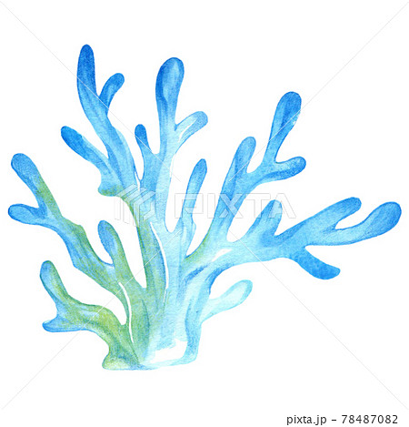 青いサンゴのイラストのイラスト素材
