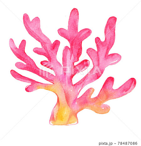 赤い珊瑚のイラストのイラスト素材