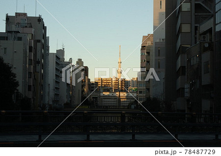 亀島橋から見る スカイツリー 夕方 亀島橋から見る スカイツリー 夕方 78487729