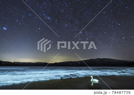 冬の星空と白鳥 冬の星空と白鳥 78487756