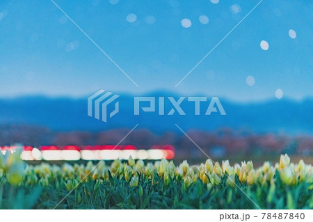 立山連峰4 78487840