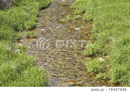 スポット 川 河 78487896