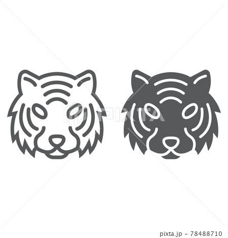 Tiger line and glyph icon, animal and zoo Tiger line and glyph icon, animal and zoo 78488710