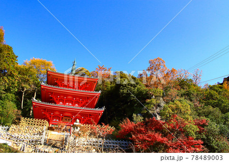 岐阜市、岐阜公園三重塔の風景 岐阜市、岐阜公園三重塔の風景 78489003