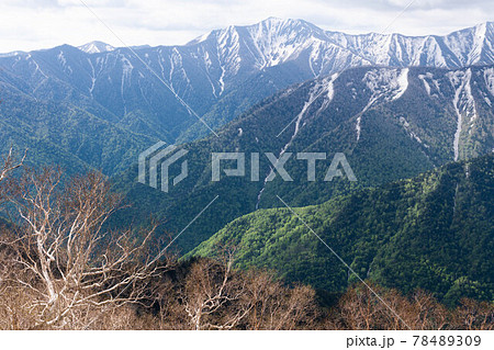 日高山脈札内カールを抱く札内岳 日高山脈札内カールを抱く札内岳 78489309