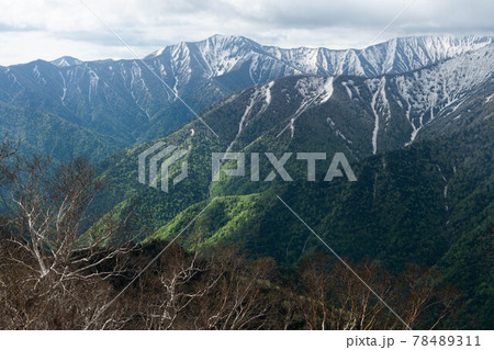 日高山脈札内カールを抱く札内岳 日高山脈札内カールを抱く札内岳 78489311