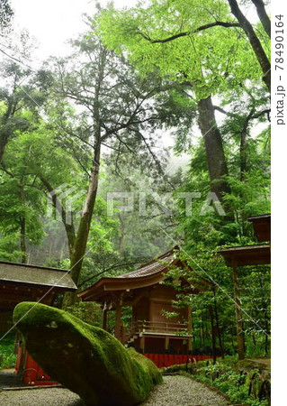 【京都】貴船神社 結社と新緑 【京都】貴船神社 結社と新緑 78490164
