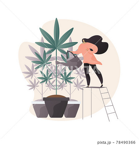 Cannabis Cultivation Abstract Concept Vector のイラスト素材