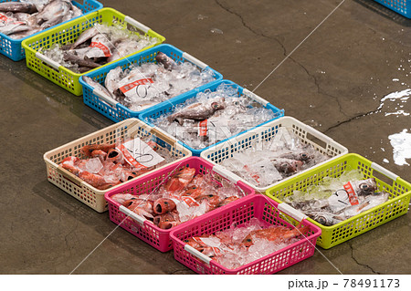 【魚市場 アカムツ】 【魚市場 アカムツ】 78491173