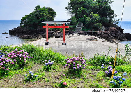 アジサイと荒平天神(菅原神社) アジサイと荒平天神(菅原神社) 78492274