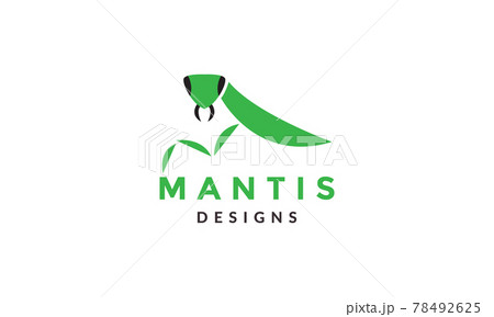green abstract insect mantis logo vector icon illustration design 78492625