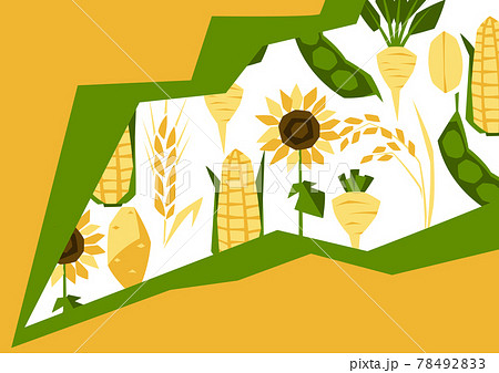 Background with agricultural crops. Harvesting stylized illustration. Background with agricultural crops. Harvesting stylized illustration. 78492833