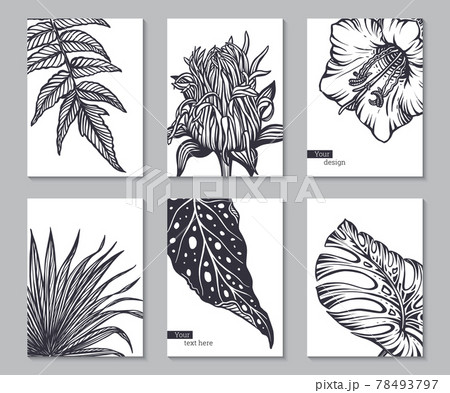 Set of six vector cards with hand drawn tropical flowers, jungle palm, exotic leaves. Set of six vector cards with hand drawn tropical flowers, jungle palm, exotic leaves. 78493797