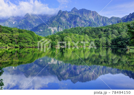 初夏の鏡池の朝 78494150