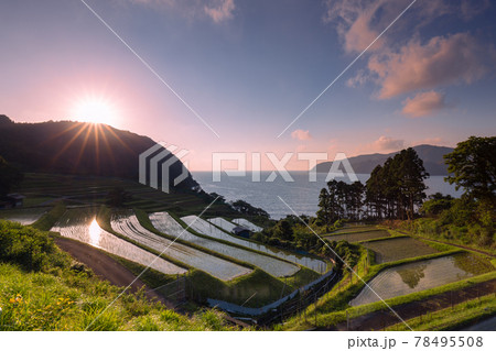 田烏棚田の夕景 田烏棚田の夕景 78495508