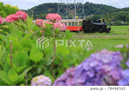 小湊鉄道里山トロッコ__2021/6/5撮影 78496562