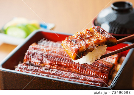 うなぎ うな重 ウナギ 鰻重 鰻 うなぎ うな重 ウナギ 鰻重 鰻 78496698