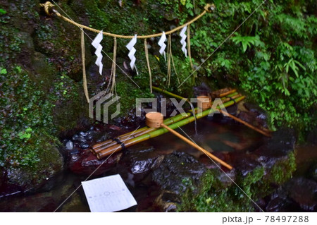 【京都】貴船神社の御神水 水占みくじ 【京都】貴船神社の御神水 水占みくじ 78497288