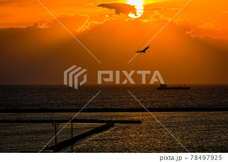 暮れなずむ頃の夕焼けに染まる空と港、空飛ぶ鳥 78497925