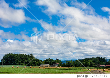 白い雲が浮かぶ青空と田園風景 78498245