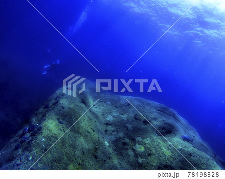 晴れた日の海底 78498328