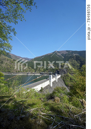 新緑の奥多摩湖 展望広場からの湖面と小河内ダム 新緑の奥多摩湖 展望広場からの湖面と小河内ダム 78498556